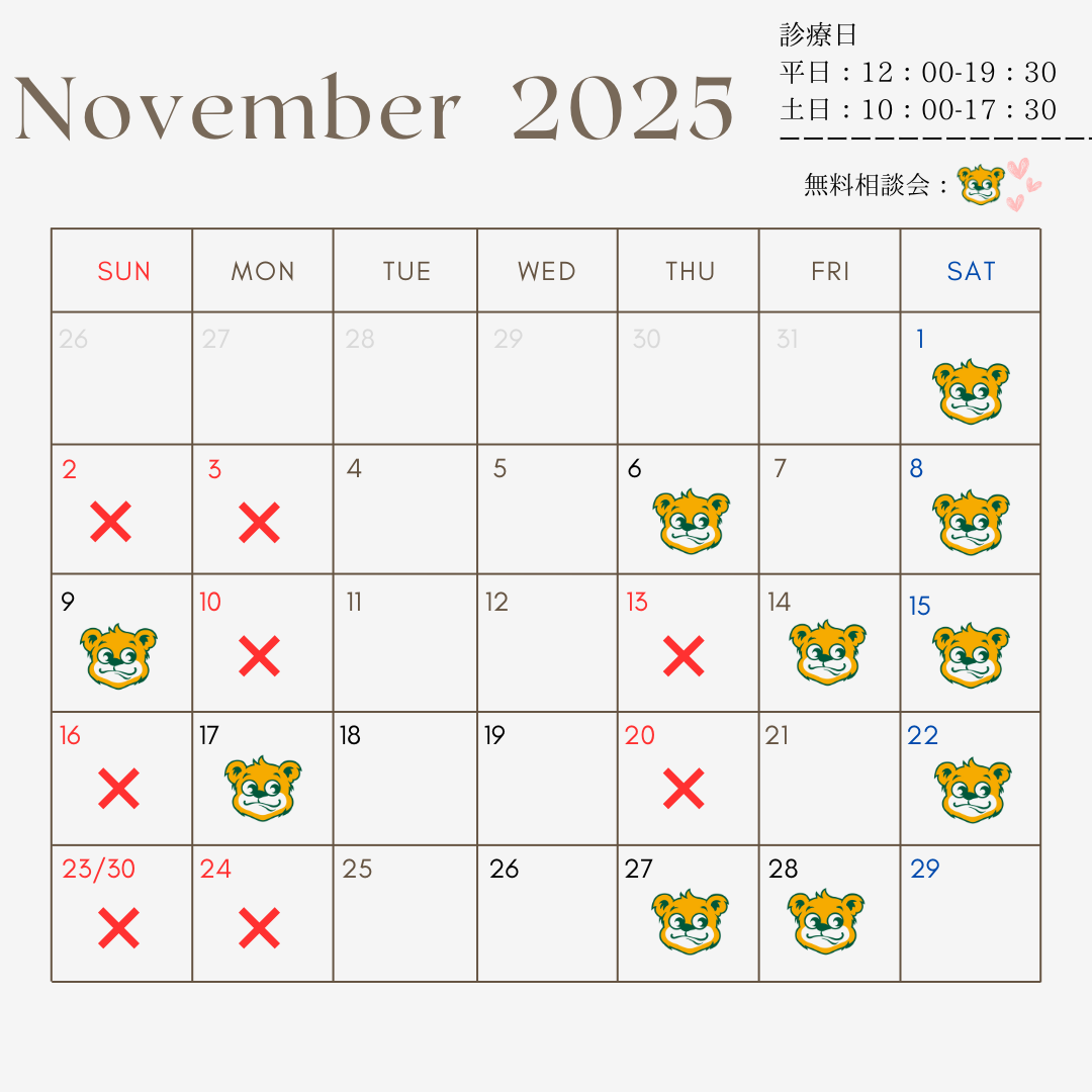 🍠１１月無料相談会のお知らせ🍂
